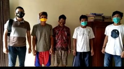 Tiga Pemuda Pencuri Kayu Manis Dibekuk Polres Palas – Sumatera Utara.