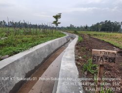 Program Rehabilitasi Jaringan Irigasi Tersier Dinas Pertanian Kabupaten Pringsewu Sangat Bermanfaat Untuk Para Petani