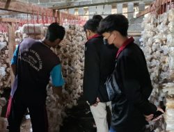 PMM UMM Kelompok 8 Gelombang 7 Tingkatkan Ekonomi Kreatif di Desa Kloposawit