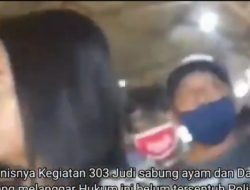 Terbesar dan Istimewa Kalangan Sabung Ayam di Dusun Krajan, Desa Dengkol – Singosari.