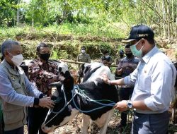 Fokus Kembangkan Pertanian dan Peternakan Untuk Kawasan Pacitan Utara