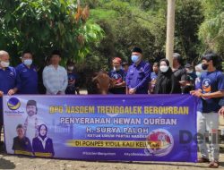 Empat Ekor Hewan Kurban Dari Surya Paloh Politisi Partai NasDem Pusat Telah Tersalurkan