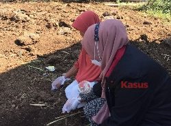 Pengelolahan Kotoran Sapi Jadi Pupuk