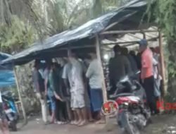 Perjudian 303 Sabung Ayam dan Judi Kodok-kodok Belum Tersentuh Hukum di Pangkalan Baru!!