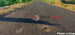 Waow..? Baru Seumur Jagung Rekontruksi Jaringan Jalan Paguan Ditumbuhi Rumput