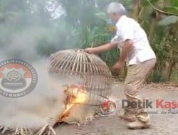 Polsek Ploso Bumi Hanguskan Kalangan Perjudian Sabung Ayam di Dusun Balongmojo