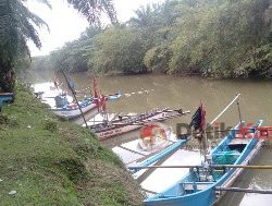 Pelarangan Ekspor BBL, Diharap Dapat Mendorong Budidaya Lobster dan Peningkatan Ekonomi Kaur.