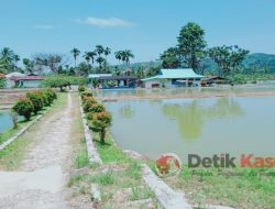 PAD Terjun Bebas, Biaya Oprasional BBI Nasal Masih Tinggi