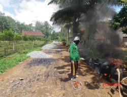 Kepala Kampung Jaya Sakti Membangun Jalan Lapen