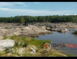 Tambang Ilegal Berskala Besar Rambah Hutan Lindung di Kawasan Dusun Rangka Patak Desa Briga Bateng