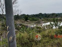 Hebat!! Pembiaran tambang Timah Ilegal diduga kawasan Hutan Lindung