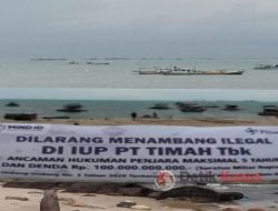 Apa Solusi dari PT Timah Tbk Pasca Penertiban Tambang Rakyat di Laut Matras?