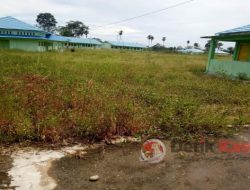 Sekolah MAK Negeri Kaur, Bagai Rimba Belantara