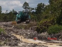 Aktivitas Tambang Timah Ilegal Diduga Rambah Hutan Kawasan di Wilayah Air Siding