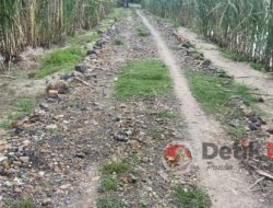 Diminta Pemkab Labuhanbatu Mampu Buka-bukaan Anggaran Dana Desa Tanjung Serang Elang