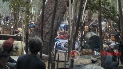 Hutan Mangrove Belo Laut Dilindungi Dunia yang Dijarah dan Dirusak Parah