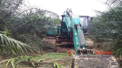 Tambang Kapfo Rambah Hutan Kawasan, Kades Ketap, “Aktivitas Tambang Tidak Memberi Dampak Positif”