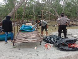 Tambang Timah Ilegal Kawasan DAS dan Hutan Lindung Mangrove Dirazia APH