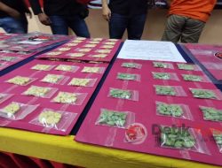 Ribuan Pil Ecstasy Berlogo Superman, Disikat Polisi