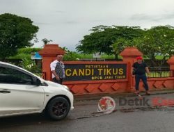 Sejarah Candi Tikus Trowulan Mojokerto