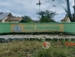 Setelah Kabid Disbunhut Ternyata Kadis Perkebunan Malah Bungkam