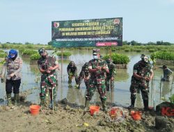 Kodim 0812 Lamongan Gelar Pembinaan Lingkungan Hidup dengan Tanam 1000 Mangrove