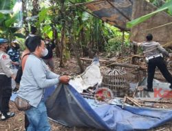 Terkait 303 Sabung Ayam di Banyuwangi, Kapolsek Rogojampi ke LSM Gmicak “Sudah Ditindaklanjuti”