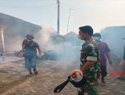 Cegah DBD, Ini Upaya Babinsa dan Bhabinkamtibmas Desa Telogoagung