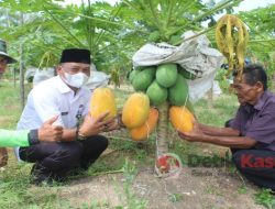 Danrem 033/WP Ajak Masyarakat Kepri Budidaya Tanaman Holtikultura