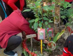 Mahasiswa (PMM) Universitas Muhammadiyah Malang Giat Toga di Margomulyo-Kaltim