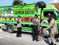 Truk Pengangkut Sapi Diperiksa Tim Penyekatan Polsek Widang