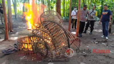 Kalangan Perjudian Sabung Ayam di Desa Sambirejo Diobrak Polisi