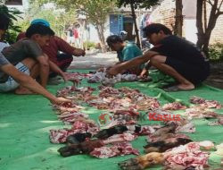 Idul Adha Kali Ini, Warga Lingkungan RT O1 Potong 4 Ekor Kambing untuk Kurban