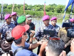 Peringati Hari Mangrove Sedunia, Danpasmar 2 Pimpin Tanam Mangrove