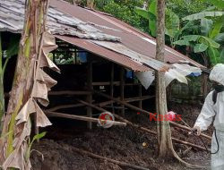 Satgas Ops Aman Nusa II Polda Kalbar, Penyemprotan Desenfektan di Kandang Ternak Milik Warga 