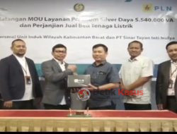 PT Sinar Tayan Inti Mulya, Tekan Biaya Produksi 50% Lebih, Gunakan Listrik PLN