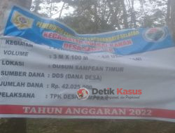 Pj Sampean dan Camat Sebagai Pelayanan Publik yang Masif Tersistematis