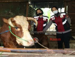 Satgas Ops Aman Nusa II Polda Kalbar Lakukan Penyemprotan Disinfektan Kandang