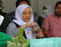 Dinas Ketahanan Pangan dan Pertanian Bojonegoro Gelar Fun Farmer’s Day