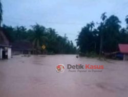 Desa Arga Mulya Dikepung Banjir, Ketinggian Air Batas