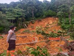 Polisi, TNI dan Warga Dusun Telok Air Evakuasi Korban Tanah Longsor