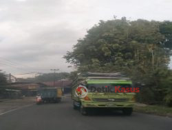 Diduga Pengusaha dan Bos Transportir Batubara Sangatlah Kuat dan Terorganisir Menentang Hukum