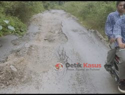 Jalan Aspal Milik Pemda Sudah Rusak Parah di-Desa Parimburan