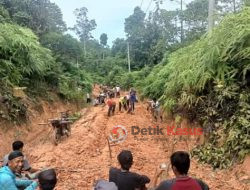 Jalan Desa Rusak Berat, Kekurangan Matrial Pakai Gambang Kayu