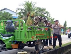 Tiga Pilar Kelurahan Pasiran Laksanakan Kerja Bhakti 