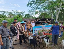 Tahap Pertama BLT-DD Tahun 2023 dan Pembagian Hewan Ternak Kambing di Desa Pengaringan 