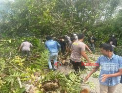 Jaga Kamseltibcarlantas, Polres Sekadau dan Warga Singkirkan Pohon Tumbang