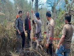 Kebakaran Hutan dan Lahan di Perbukitan Simangulampe Kawasan Danau Toba, Titik Api Sulit Terjangkau