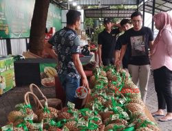 Berburu Buah Durian Di Kampung Durian di Semarang Membuat Orang Ketagihan Rasanya Nyusss