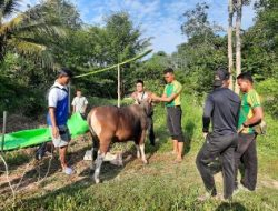 Indah Kebersamaan Satgas YonArmed 10/Bradjamusti Dan Warga Rayakan Idul Adha Perbatasan